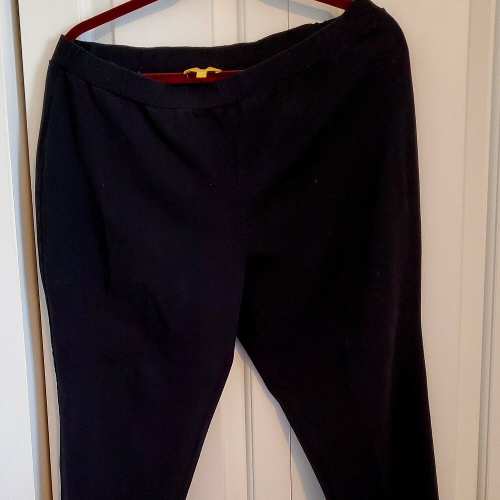 Liz Lange Women's Black pants, 1X